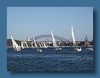 48 Racing on Sydney Harbour
